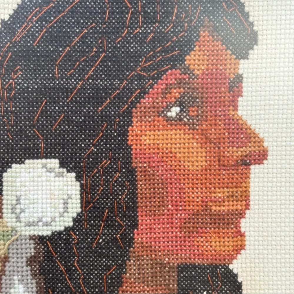 Needlepoint Counted Cross-stitch native American Indian Princess Maden Framed